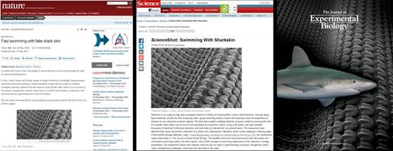 456DC1A9DE50C7E297F56481FE4_1C54B912_63FD